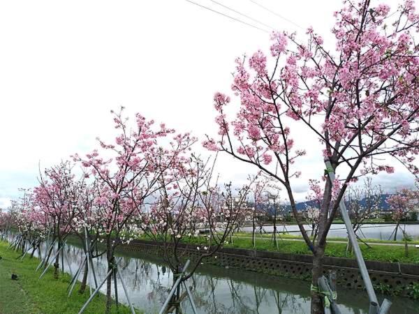 尚閤屋包棟民宿 Wujie Eksteriør bilde